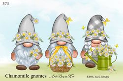 Grey Gnomes png, Daisy gnome, chamomile clipart