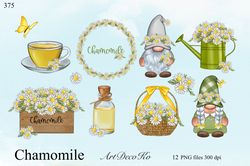 Chamomile clipart, chamomile gnomes, chamomile tea PNG