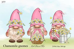 Pink Gnomes png, Daisy gnome, chamomile clipart