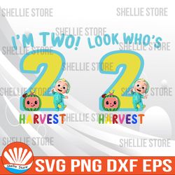 2nd Birthday Svg, Look Who's Svg, Happy Birthday Svg, Cricut, svg files, File For Cricut, For Silhouette, Cut File, Dxf