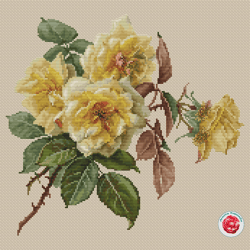 Yellow Roses Cross Stitch Pattern