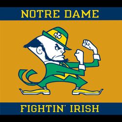 Notre Dame Fighting Irish 20oz Straight Skinny Sublimation Tumbler