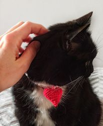 Crochet cat collar - Heart pet costume - Valentine gift