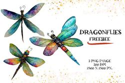 Watercolor Dragonflies - Freebee graphicsPrintable Illustrations