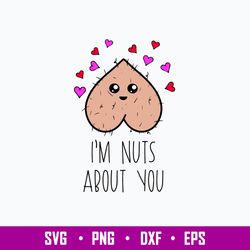 I_m Nuts about you Svg, Funny Svg, Png Dxf Eps File