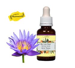 Blue Lotus Tincture, Extract - Nymphaea Caerulea, Pesticide Free, Relaxation, calming, dream enhancer