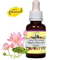 Sacred Pink Lotus and Egyptian White Lotus Flower Herbal Tincture Blend.Meditation aid, yogic practices, creativity, dee