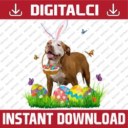 Bunny Pit Bull With Egg Basket Easter Flower Hunting Egg Easter Day Png, Happy Easter Day Sublimation Design