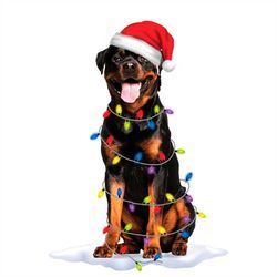 Cute Rottweiler Sitting Wearing Santa Hat PNG Sublimation Designs