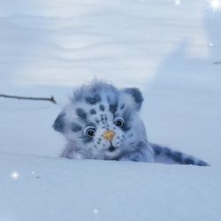 Crocheted kitten snow leopard \ patterns of amigurumi toys in English pdf \ tutorial crochet cute cat diy