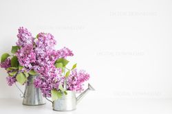 Flowers Background, Lilac Background, Spring Background, Flowers Mockup, Flowers Background, Flower Mockup, Photo Lilac