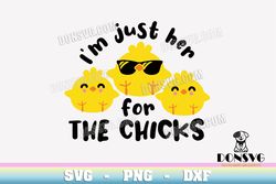 Boys Easter Chicks Quote SVG Cutting File I'm Just here for the Chicks image Cricut Funny Easter vinyl decal