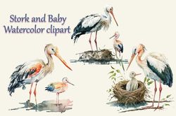Stork And Baby Watercolor Clipart