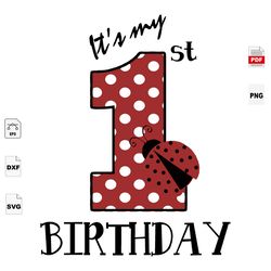Its My First Birthday, 1st Birthday, Birthday Gift, May Bug, May Bug Svg, May Bug Vector, Cute Maybug, May Bug Shirts, H