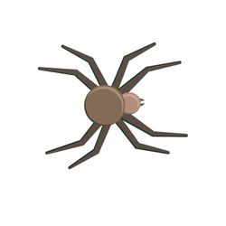 Brown Spider Insect SVG PNG