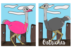 2 Ostriches Jpg Illustration