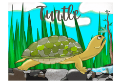 Turtle Jpg Illustration