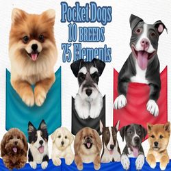 Pocket Dogs Clipart: "PUPPIES CLIPART" Dog breeds clipart Pocket Puppies Pet Portrait Dog Sublimations Dog Lover Gift Do