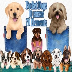 "Pocket Dogs Clipart: ""PUPPIES CLIPART"" Dog breeds clipart Pocket Puppies Pet Portrait Dog Sublimations Dog Lover Gift