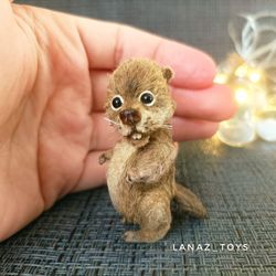 Miniature beaver Tod