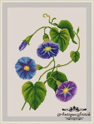 Morning Glory 75 Vintage Cross Stitch Pattern PDF Garden Flowers embroidery Compatible Pattern Keeper