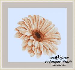 African Daisy 78 Vintage Cross Stitch Pattern PDF Garden Flowers embroidery Compatible Pattern Keeper