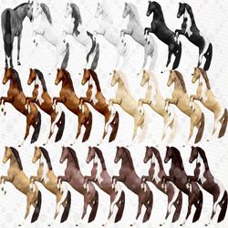 Watercolor Horse clipart: "HORSES CLIPART" Horse breeds Horse Png Palomino horse Appaloosa horse Farm Animals Horse Illu