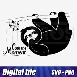 Cute sloth image in png and svg format, Sloth vector hight quality, Sloth cricut print, Catch the moment cut image