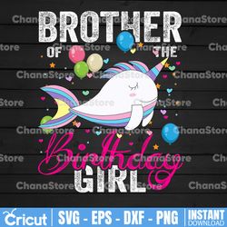 Brother Of The Birthday Girl PNG File / Digital Download / Unicorn Birthday / Birthday's Gift For Girl Kids