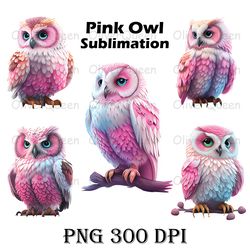 Pink Owl Sublimation Art, Pink Owl PNG