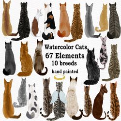 Cat Clipart: "WATERCOLOR CATS" Cat breeds Pet clipart Kitten clipart Cat for mug Cat graphics Cat Bundle Cat Illustratio