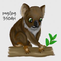 Digital download / Hand drawn, koala illustration