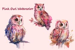 Pink Owl Watercolor