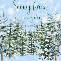 Winter Forest Clipart "FOREST CLIPART" Pine Trees Christmas tree Watercolor Forest Landscape Conifers trees clipart Wood