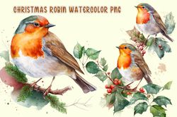 Christmas Robin Watercolor PNG