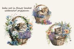 Baby Cat In Flower Basket Watercolor Png