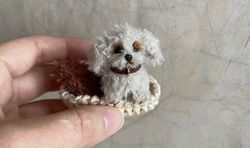 Miniature realistic maltipoo dog minitoy ooak puppy doll pet friend custom dog figurine dollhouse miniatures handmade