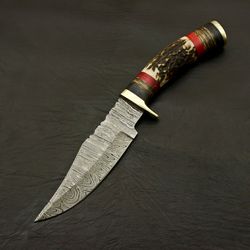 CUSTOM MADE HAND FORGED DAMASCUS 9.5" HUNTING/SKINNING KNIFE -STAG/ANTLER HANDLE