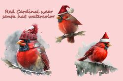 Red Cardinal Wear Santa Hat Watercolor