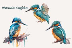Watercolor Kingfisher