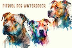 Pitbull Dog Watercolor