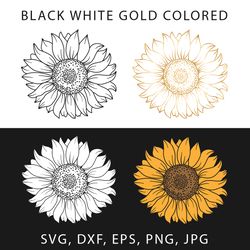 Sunflower in black, color, gold and white in SVG, EPS, DXF, PNG, JPG format. Hand drawing of sunflower in Line Art style