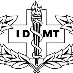 Air Force IDMT Badge Black white vector outline or line art file for cnc laser cutting, wood, metal engraving, Cricut fi