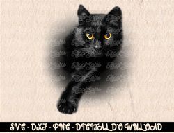 Black Cat Yellow Eyes  Cats Tee Shirt Gifts Digital Prints, Digital Download, Sublimation Designs, Sublimation,png, inst