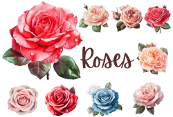 Beautiful Roses PNG Clipart