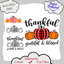 Thankful Grateful and Blessed svg, Fall svg, Autumn svg, Pumpkin svg, Thanksgiving svg, Svg bundle for cricut, silhouett