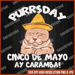 Cinco De Mayo Purrsday Cat Sombrero Mexican Party Cats Lover PNG, Mother Day PNG, Png File , PNG Sublimation, PNG
