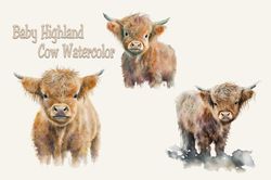 Baby Highland Cow Watercolor, Animal Png, Baby Highland Cow Png