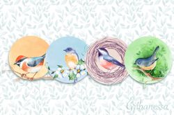 Watercolor birds, PNG illustrations