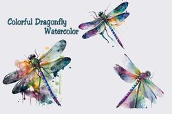Colorful Dragonfly Watercolor Files, Animal Png, Animal Love Png